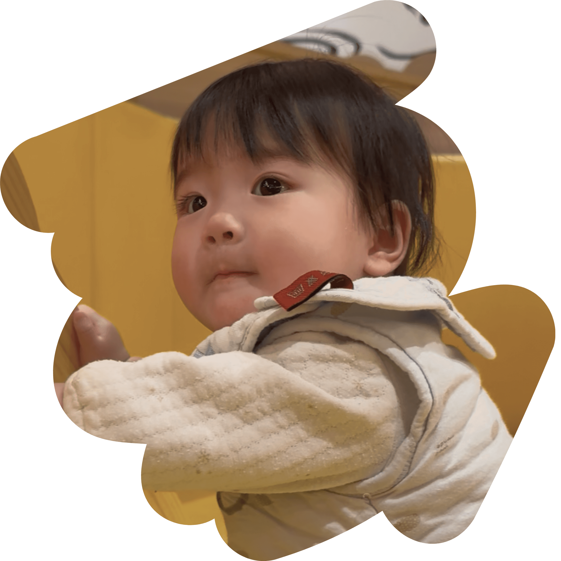 べびジムで遊ぶ赤ちゃん